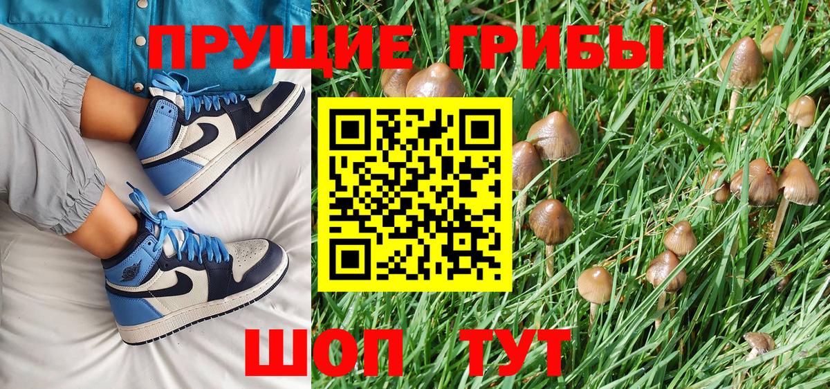 Псилоцибиновые грибы Magic Shrooms  Вход с VPN  Дербент  Галлюциногенные грибы мицелий 